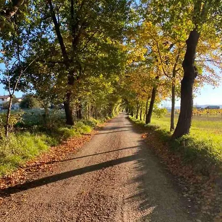 شقة Piccolo Monolocale In Convento Del 1600